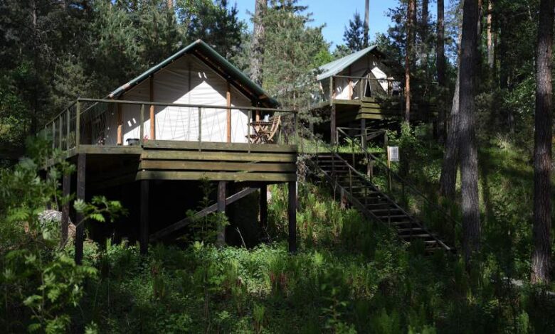 Dolandırıcılar Rusları sahte glamping sitelerine davet etmeye başladı