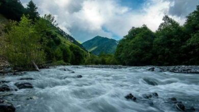 Güney Osetya'da nehirde bulunan bir cesetle ilgili bilgiler kontrol ediliyor