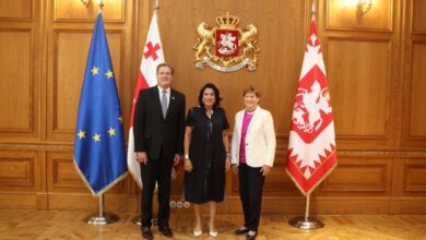 Gürcistan Cumhurbaşkanı Senatör Jeanne Shaheen ve Kongre Üyesi Mike Turner ile görüştü