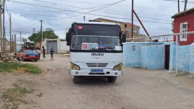 Hökmeli'nin su, yol, işsizlik sorunları: "Ejderha gibi suyu kestiler"