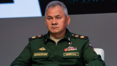 Shoigu Tahran'a gitti