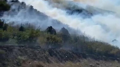 Tokat'ta yangın: 5 hektar orman alanı zarar gördü