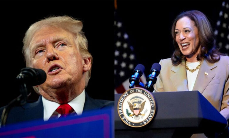 Trump, Kamala Harris ile yakında görüşeceklerini söyledi