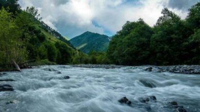 Bir hafta önce Bolshaya Liakhvi Nehri'nde bulunan cesedin kimliği belirlendi.