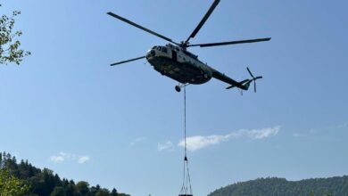 Borjomi ormanındaki yangın söndürüldü