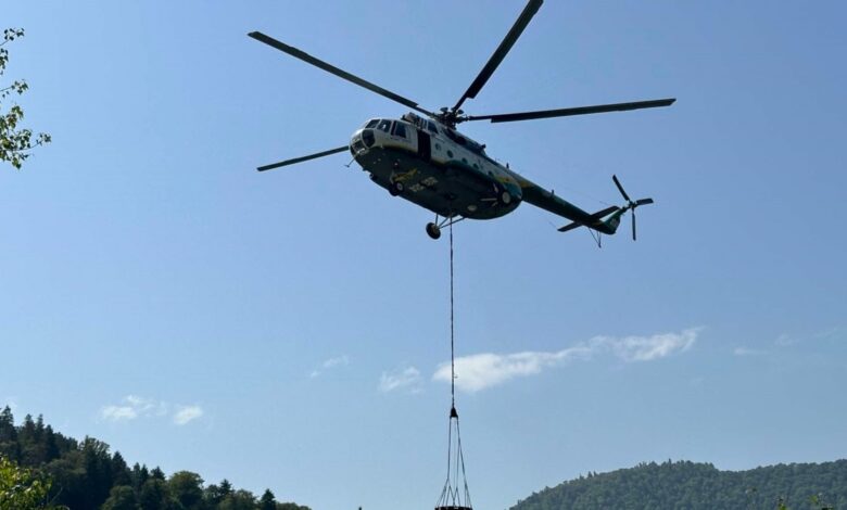 Borjomi ormanındaki yangın söndürüldü