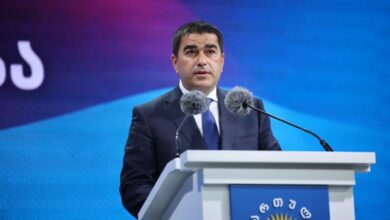 Ivanishvili'nin sözleri üzerine Papuashvili: Uzlaşma, tövbe ve karşılıklı bağışlama anlamına gelir