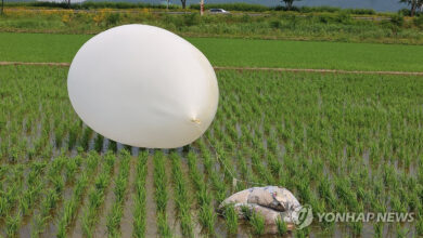 Kuzey Kore, Güney Kore'ye yine çöp dolu balon gönderdi