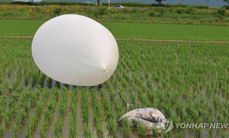 Kuzey Kore, Güney Kore'ye yine çöp dolu balon gönderdi