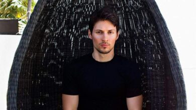 Siyaset bilimci Pavel Durov'u yeni Assange olarak adlandırdı