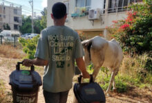 Tel Aviv'in yeşil projesi Dünya Yeşil Şehir ödüllerinde ödül kazandı - İsrail Haberleri